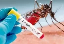 डेंगू का खतरा बढ़ा:वायरल फीवर का प्रकोप, डेंगू के संदिग्ध बढ़े रोज 200 से ज्यादा टेस्ट, एक मौत से अलर्ट
